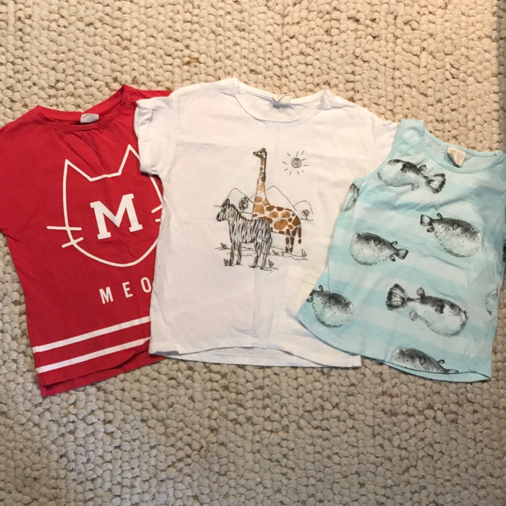 Zara tshirts / tank top